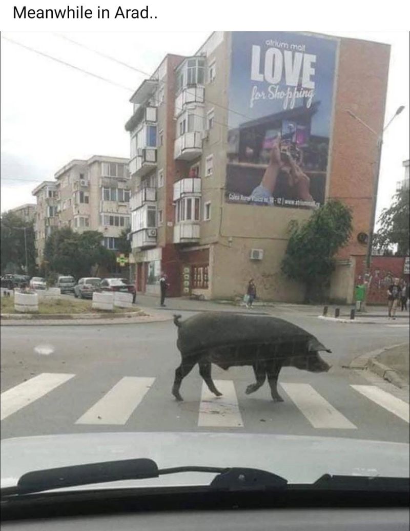 Xubuntu is an official flavor of Ubuntu Linux that uses the Xfce desktop environment.