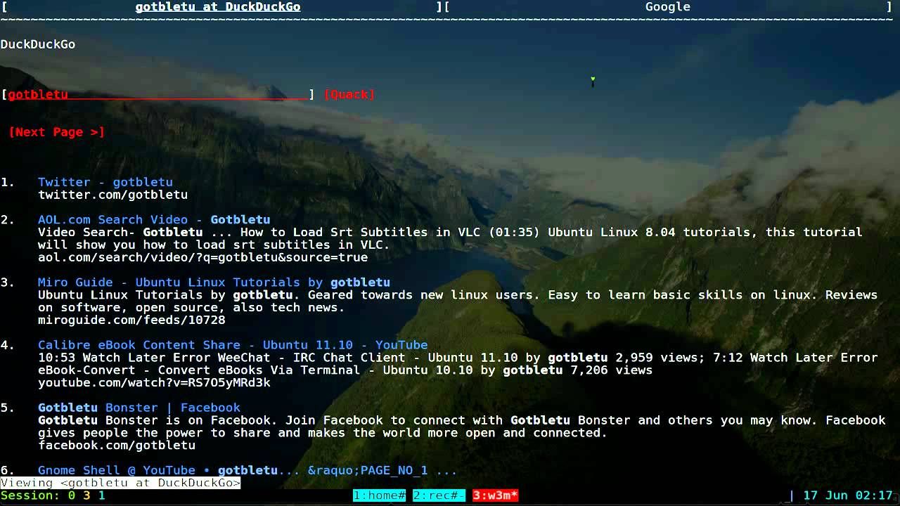 w3m is a text-based web browser that runs in a terminal.